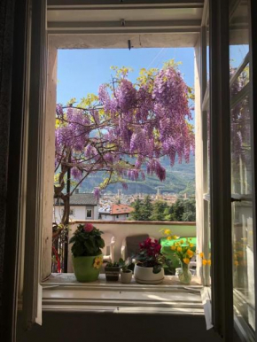 Ao giardini